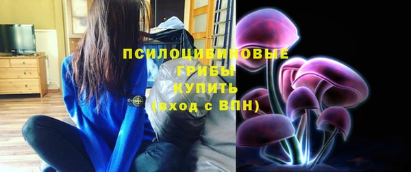 СК Билибино