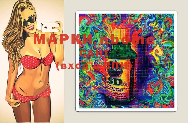 ECSTASY Новодвинск