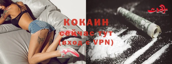ECSTASY Новодвинск
