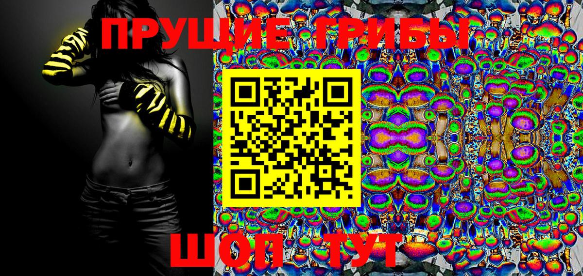 Псилоцибиновые грибы мухоморы  Кандалакша  Псилоцибиновые грибы Cubensis 